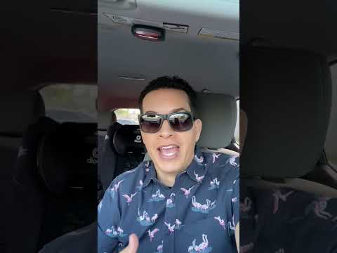 Car Dealer License Number Check