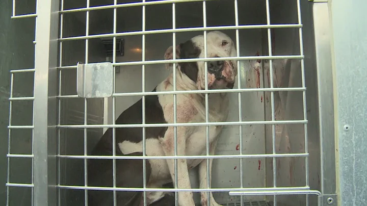 Evening Webcast: Feb. 22, 2013