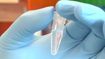 Investigating Drug Use: Building Molecular Tools