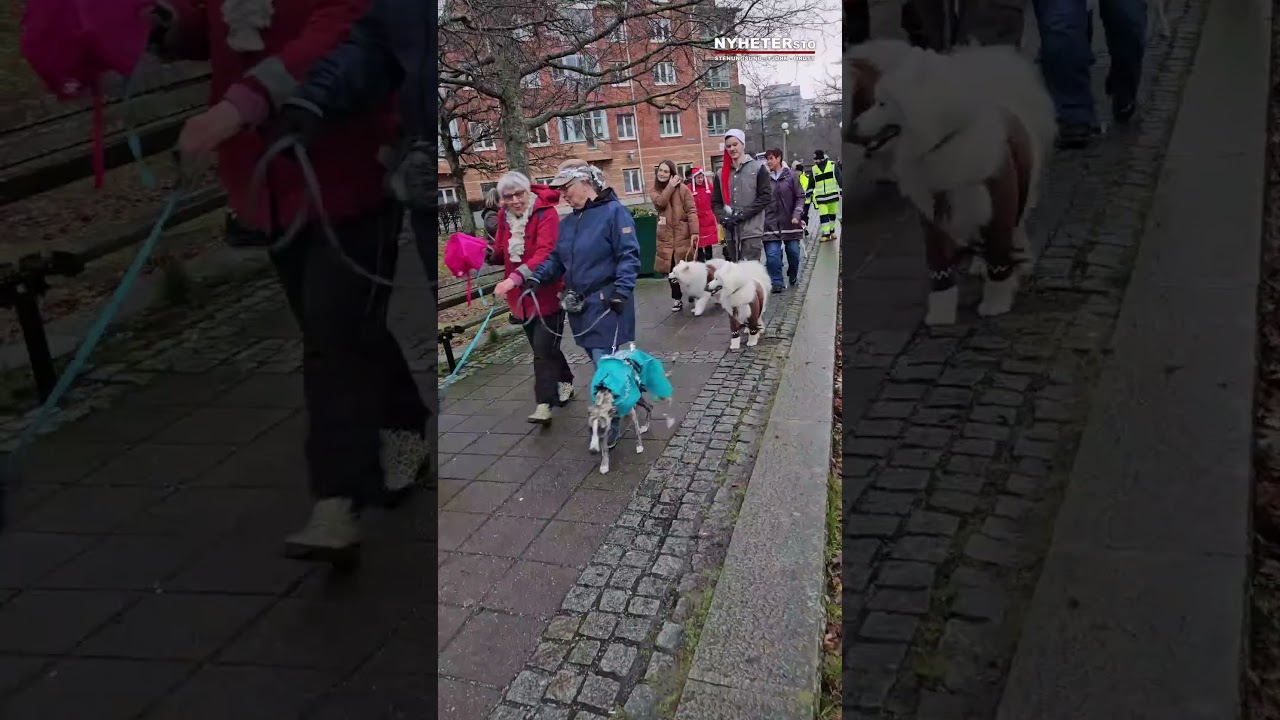 Fyrbent luciafirande lockade många till Kulturhusparken