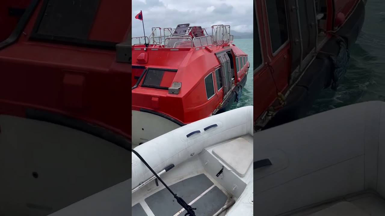 🚢 Tender Gets VERY Close in Windy Conditions! | Carnival Splendor Airlie Beach