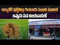 Subhani biryani ruchi adurs   subhani biryani hotel in vijayawada  aadhan food reviews