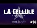 La cellule  liens de cur liens de sang 05