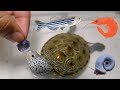FEEDiNG TURTLE LiVE FOOD | Snails, Fish, Shrimp, Oh My!