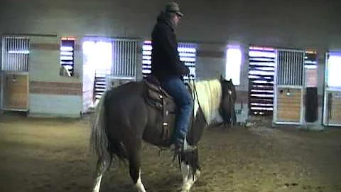 Shannon Allison: Lesson 1, Part 1: Flexing and Gui...