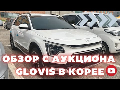 Видео: Авто из Кореи. Актуальные цены на аукционе GLOVIS