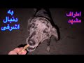 بدنبال اشرفی و گنج اطراف مشهدمهمانی خانوادگی سید همه پیمان ها mp3