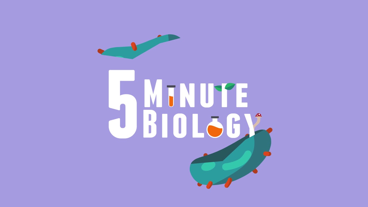 Intro - 5 Minute Biology - YouTube