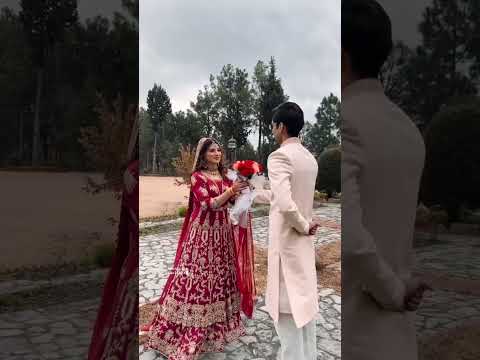 Groom Propose Bride