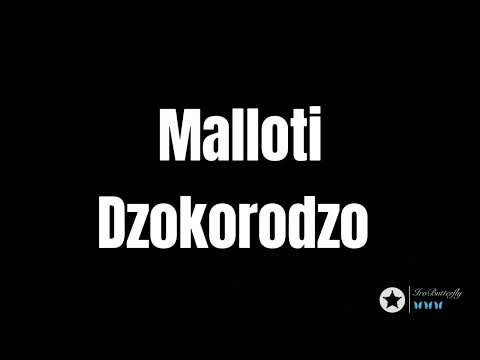 Malloti - Dzokorodzo (MalloNgende Ep)