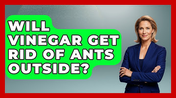 Will Vinegar Get Rid Of Ants Outside? - Insects and Invaders