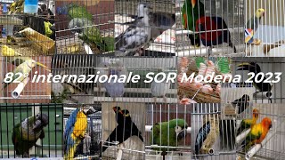 82° edizione dell'internazionale SOR 2023, Modena fiere, ex Reggio Emilia   VIDEO COMPLETO