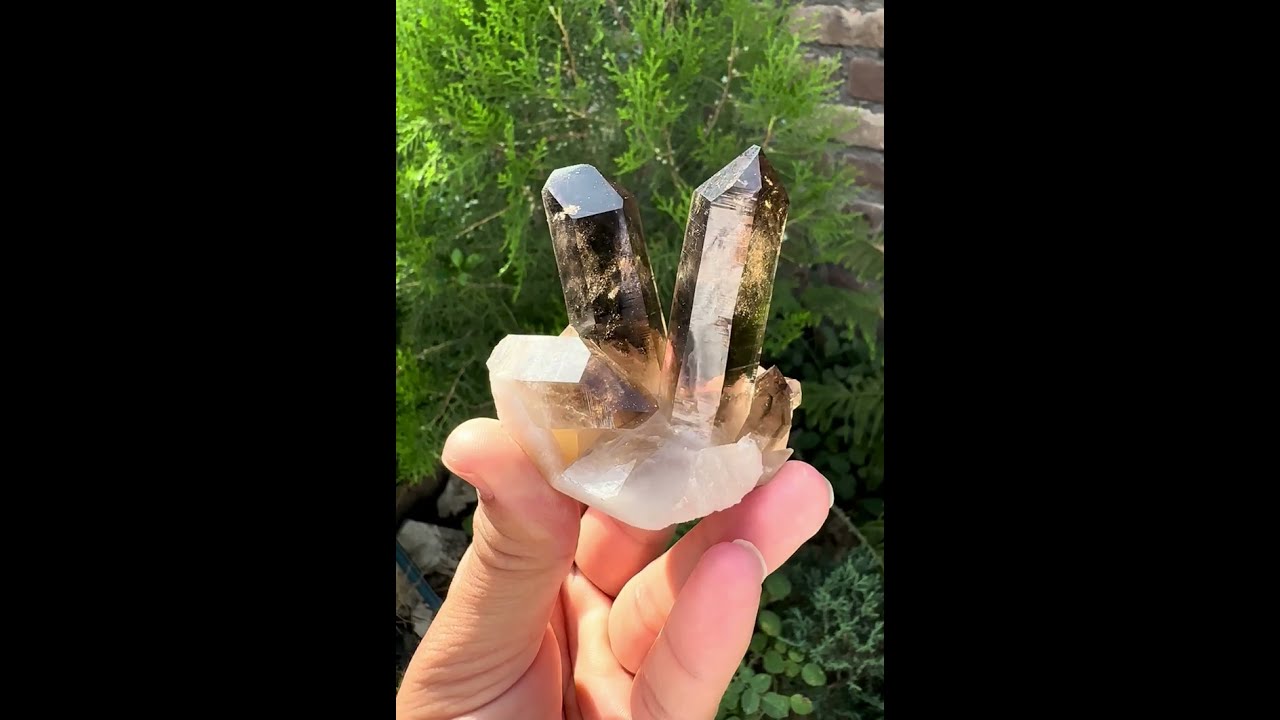 Smoky Quartz from Shigar Pakistan - Q-SMQ-03 - Fine Art Minerals