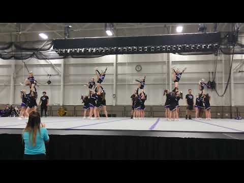 Division 4  Champion Force Cheer Regionals