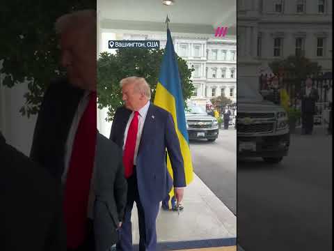 Первые кадры. Трамп встретил Зеленского в Белом доме