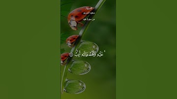 #قران_كريم #ماتيسر من سورة هود #الشيخ_سعود_الشريم