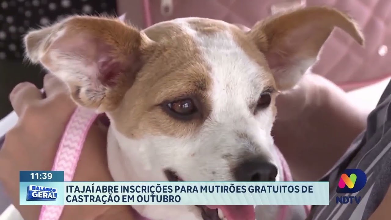 Giro regional reúne saúde, castração, combustíveis e cultura em SC
