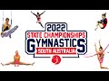 Men&#39;s Artistic Gymnastics SA State Championships 2022 - Daniil Zolotaryov Level 7 Open