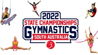 Men&#39;s Artistic Gymnastics SA State Championships 2022 - Daniil Zolotaryov Level 7 Open