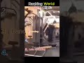 Ranking weird Gym Clips