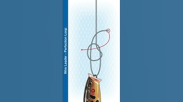 #Shorts How To Make The Wire Leader - Perfection Loop