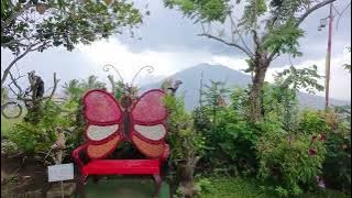 Century Tree Highlands