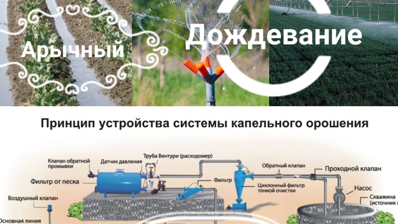 Дождевание, арычный и капельный поливы. ПРЕИМУЩЕСТВА И НЕДОСТАТКИ