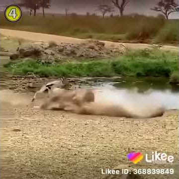 WCB comedy editing# vichekesho bomba2020 subscribe twende sawa