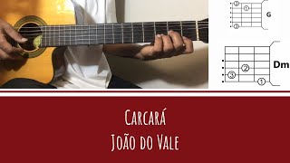Vídeo de Animal Solitário