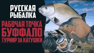 Буффало на р. Ахтуба | Турниры на Леща с Годными Призами 🔴 Русская Рыбалка 4