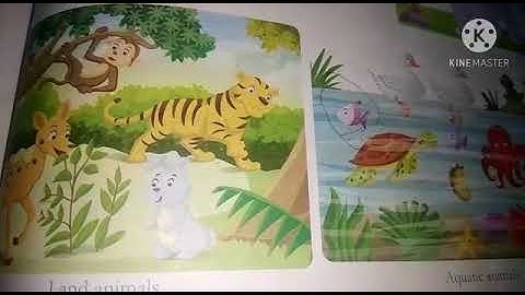 Class-1 Sub-evs Chapter-12 THE ANIMAL KINGDOM (PART-2)