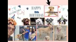 #Gizmo5thBirthday #MiloBelated5thBirthday #RejoiceInTheLordAlways!😍🥰💕🙏