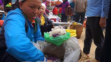 Chơi Chợ Tết Vùng Cao Biên Giới - Chợ Đồng Mu - xã Xuân Trường - huyện Bảo Lạc - tỉnh Cao Bằng