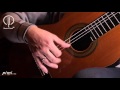 Classical guitar playing technique. Tremolo. [Dmitry Nilov]