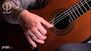 Classical guitar playing technique. Tremolo. [Dmitry Nilov]