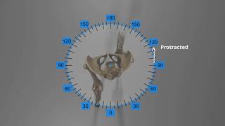 Analysis of Gait Motion: Transverse Plane