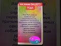 #регрессионнаятерапия #психология #душадух #исцеление #психолог #исцелениедухадушитела #таро