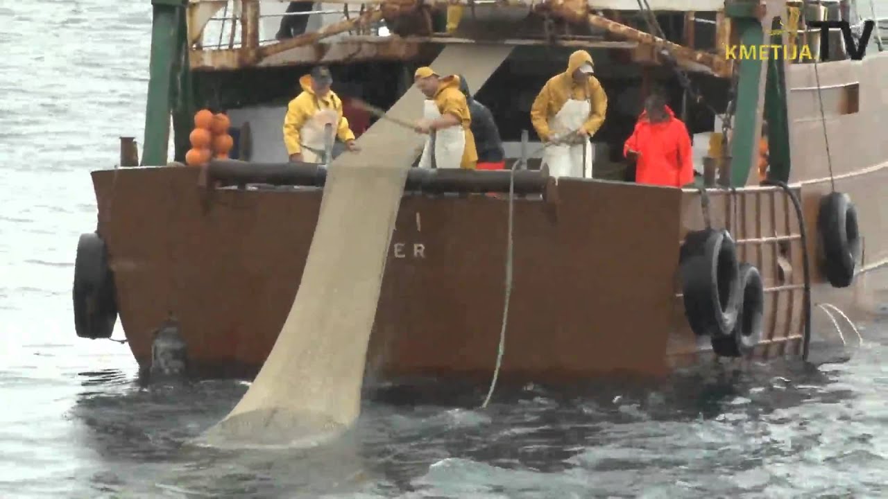 Ribolov Vleka mreže in ulov