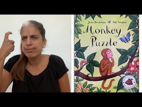 bsl-signed-stories-monkey-puzzle-by-julia-donaldson-youtube