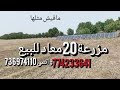 مزرعة للبيع كنزمن كنوز اليمن |من افضل الاراضي الزراعية جودة وخصوبة