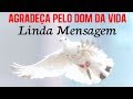 PALAVRA DO DIA/ Mensagem de Bom Dia /Agradeça Pelo Dom da Vida (Reflexão)