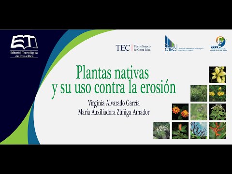 Video: Plantas de control de erosión: prevención de la erosión con plantas autóctonas & Hierbas