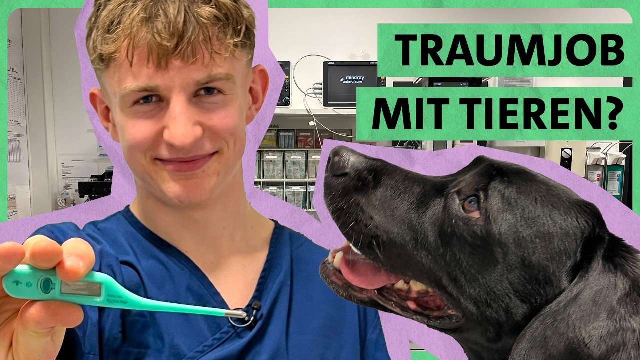 Challenge beim Tierarzt! | JobChallenge Tiermedizinischer Fachangestellter | ARD