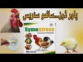 SymoStress Multivitamins for Poultry Birds | Alleviating Summer Stress in Chickens