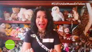 Dippy Tv Guepardo O Chita