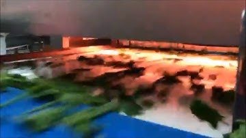 How Discovery sorts Frozen Spinach | RAYTEC VISION SpA