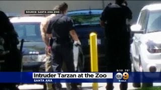 Shirtless 'Tarzan' Arrested In Bizarre Incident Near Zoo Monkey Exhibit
