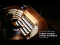 César Franck: Pièce héroïque, Daniel Beckmann, Mainzer Domorgel