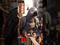 Street Interviews: When Animals Talk! 🐶🐱🐦 #animalinterview #funnyshorts