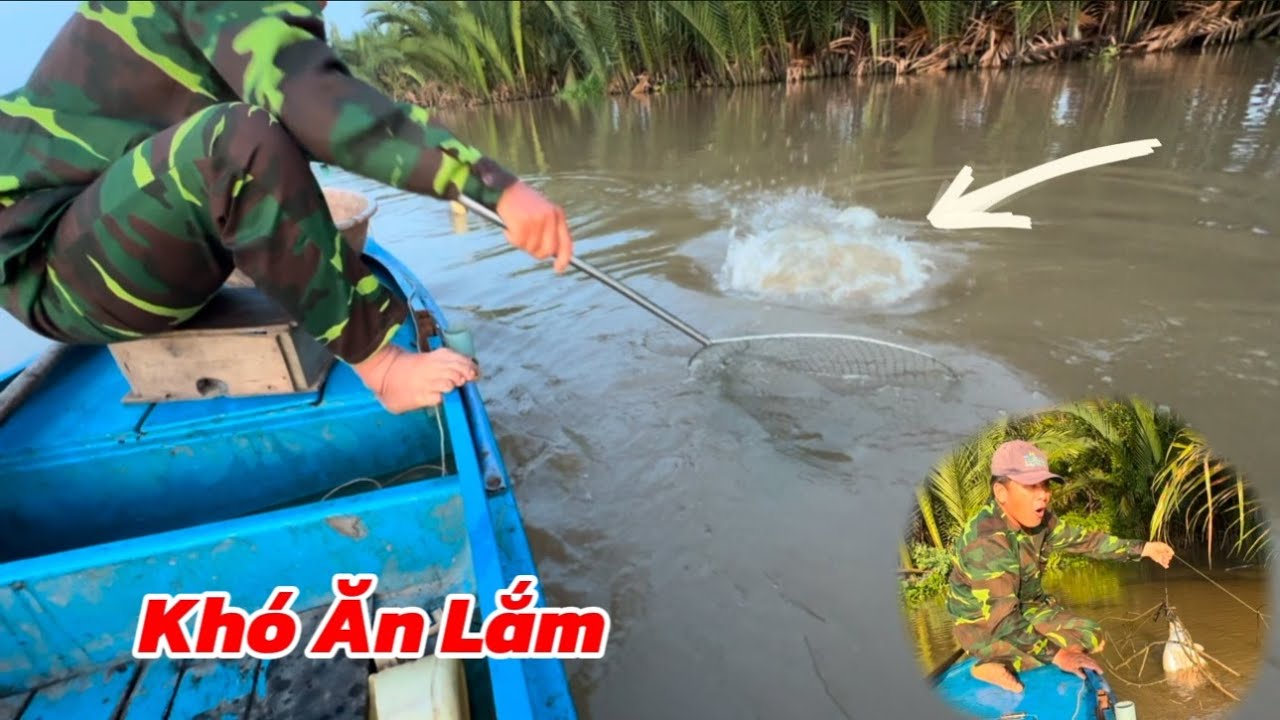 Thả Thử 11 Cần Câu Thác Lác Cườm Không Ngờ Có Thành Quả / Định Nguyễn Hậu Giang